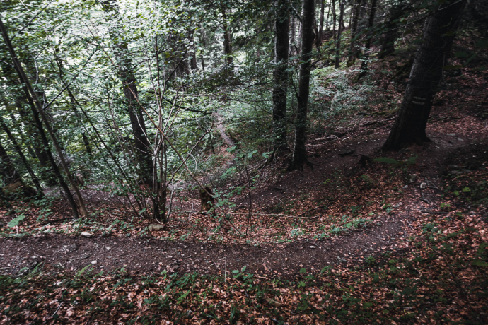 Kaltbrunntobel-Trail