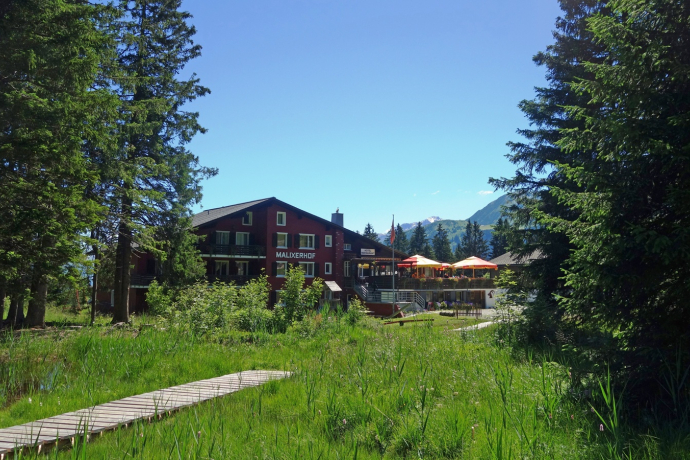 Malixerhof Brambrüesch im Sommer