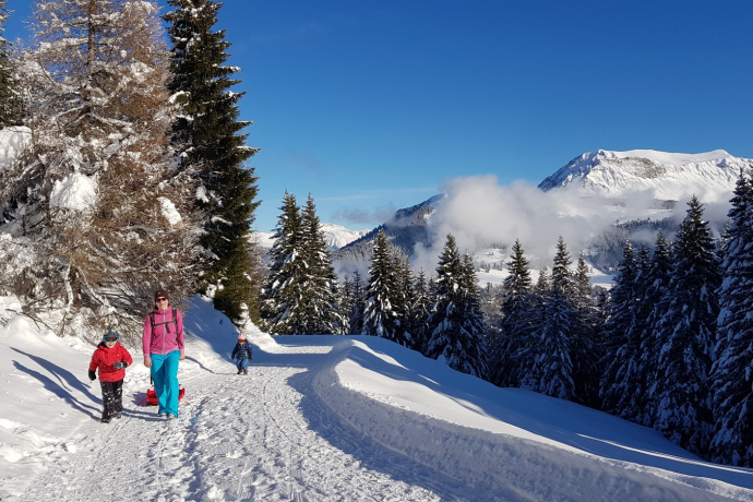 Edelweissrundweg Brambrüesch
