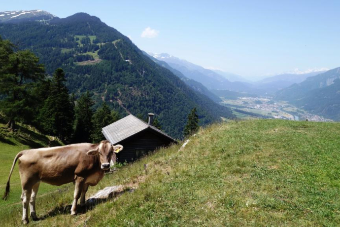 Mittenberg mit Blick ins Churer Rheintal