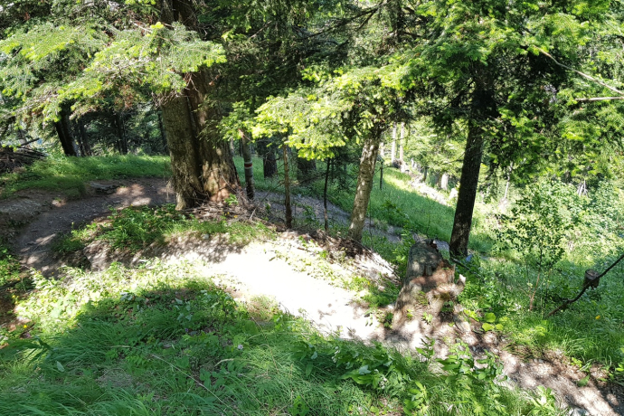 Trail-Einstieg Juchs