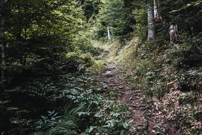 Kaltbrunntobel-Trail