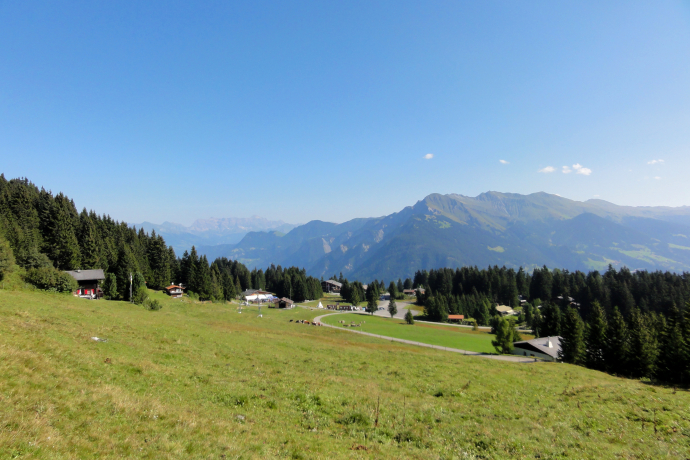 sehenswuerdigkeit_brambruesch_sommer-panorama_michaelchrist (5)