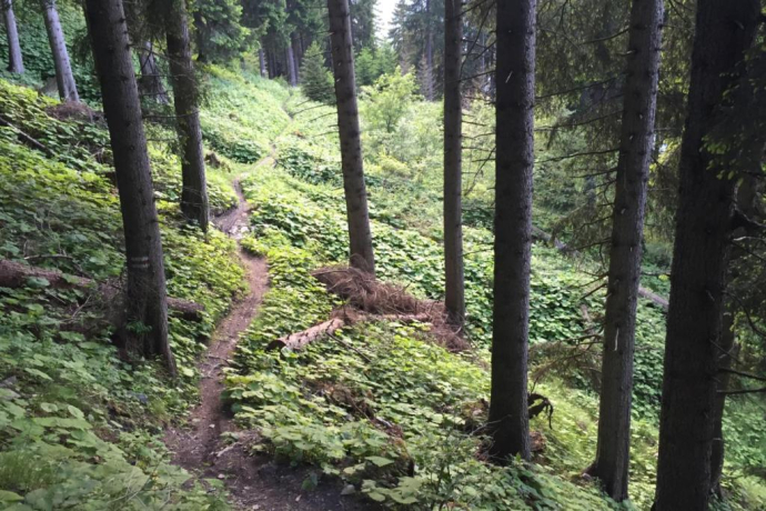 Antennatrail Brambrüesch