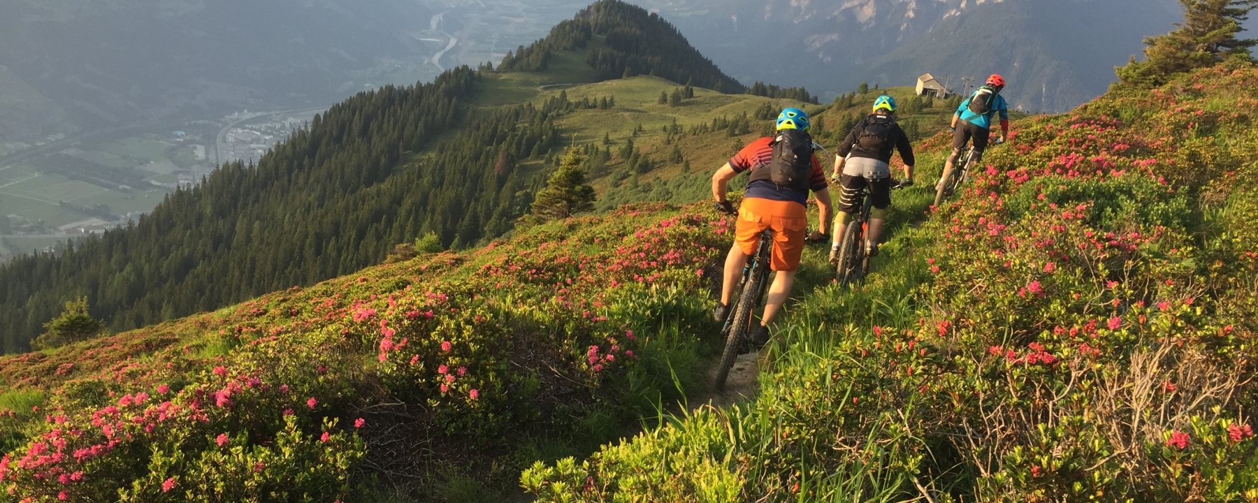 mountainbiken_brambruesch_lady-patricia-trail_michaelchrist_2.jpg