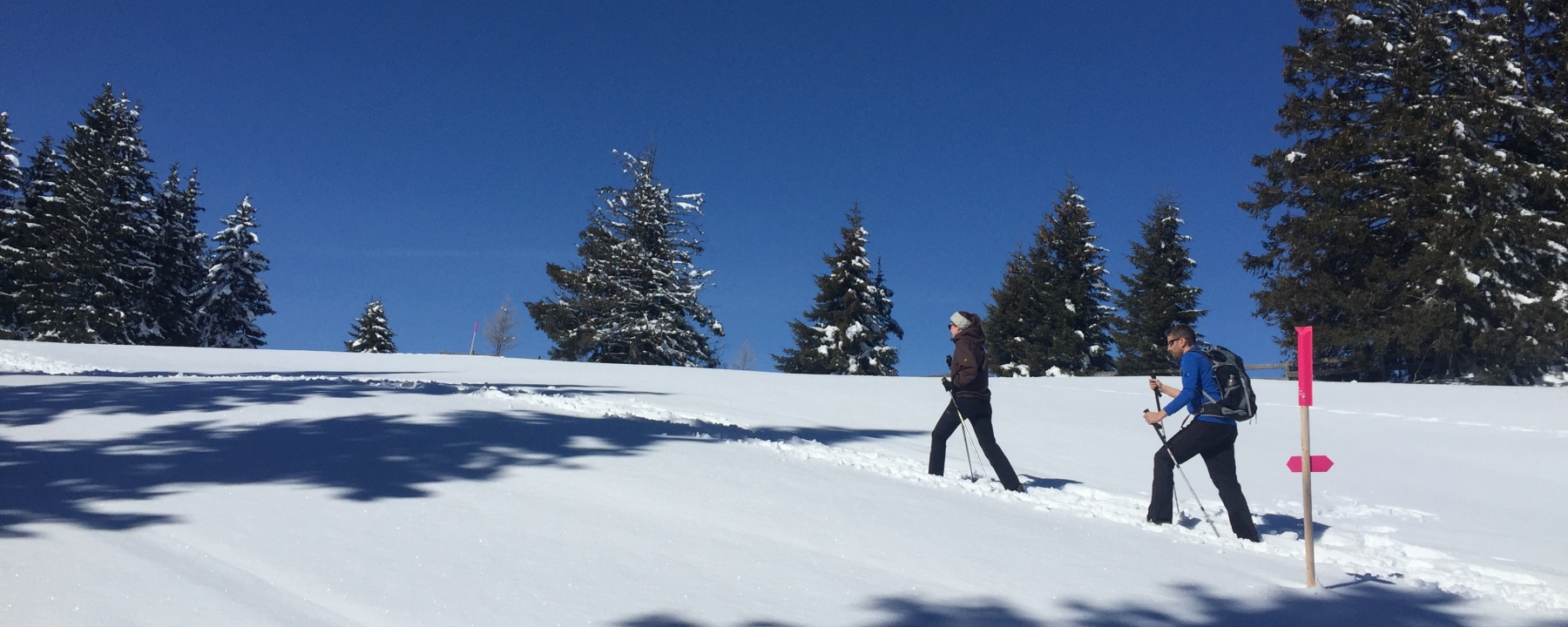 Schneeschuh-Tour Dreibündenstein