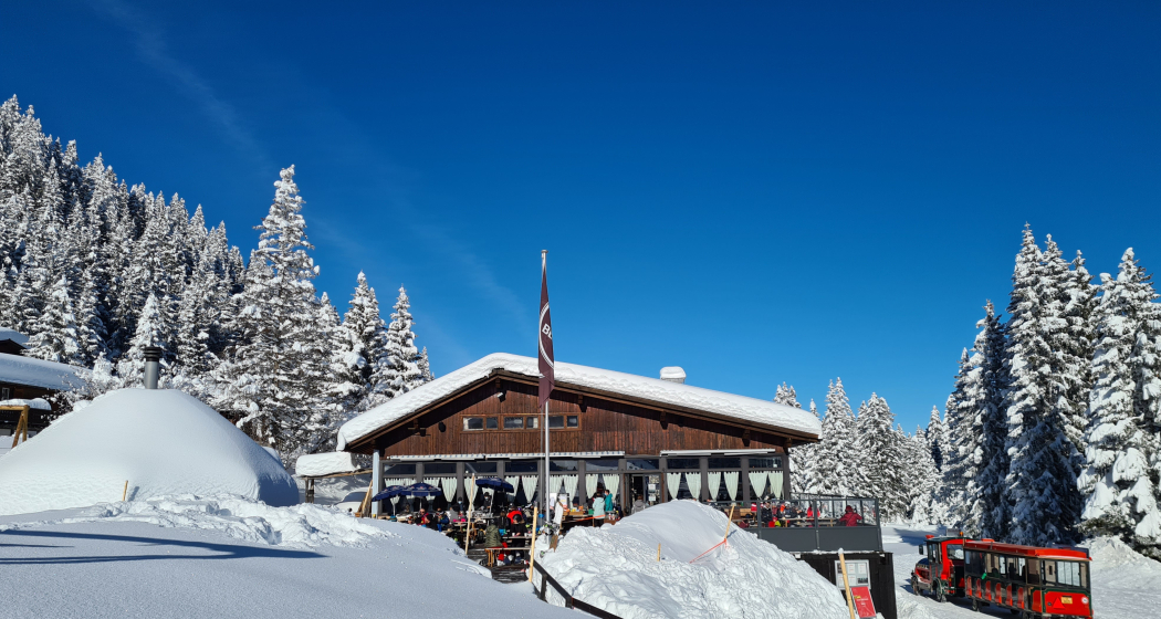 restaurant_brambruesch_bergbaiz-winter_michaelchrist_8.jpg