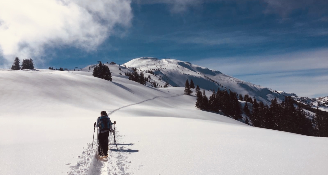 schneeschuh_dreibuendenstein_karinbaecher_3.jpg