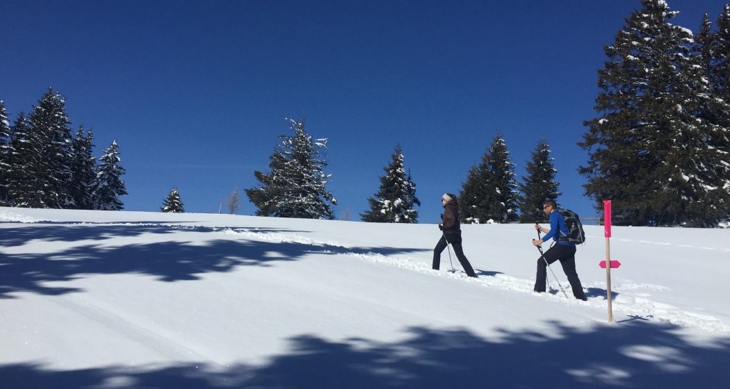 Schneeschuh-Tour Dreibündenstein