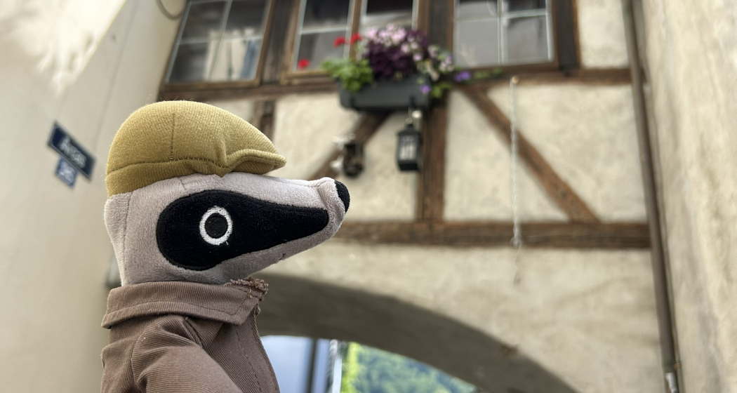 Plüsch-Detektivdachs mit Mütze und Mantel steht in einer engen Altstadtgasse; im Hintergrund ein historischer Torbogen und ein Fachwerkhaus mit Blumen am Fenster.