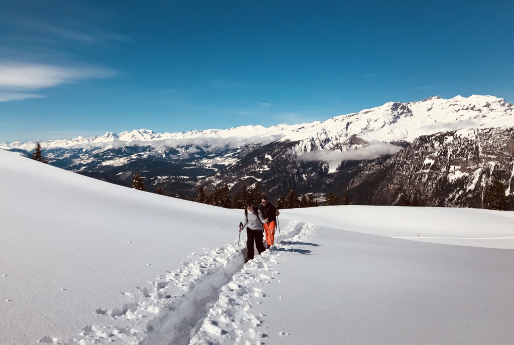 schneeschuh_dreibuendenstein_karinbaecher_7.jpg