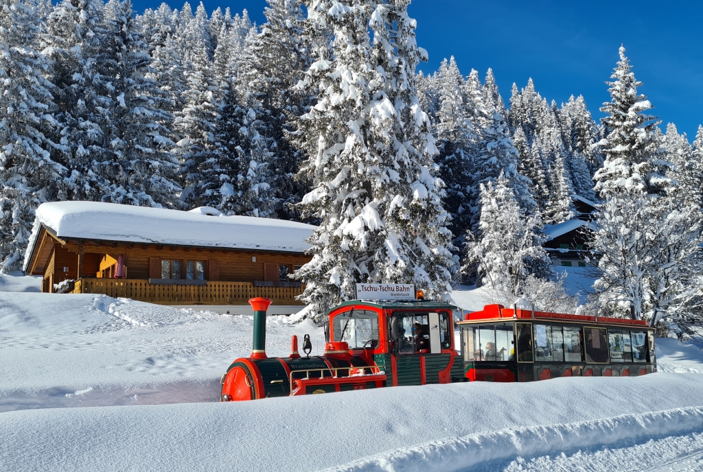tschu-tschu-bahn_brambruesch_winter_michaelchrist.jpg