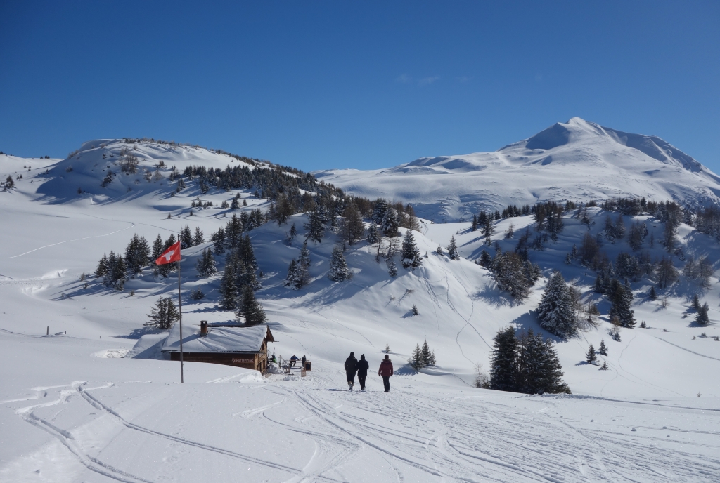 ausflgstipp_feldis_winter_michaelchrist_7.jpg