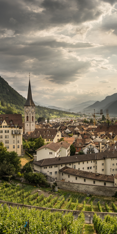 sehenswuerdigkeit_altstadt_panorama_st-markusbuehler_3.jpg