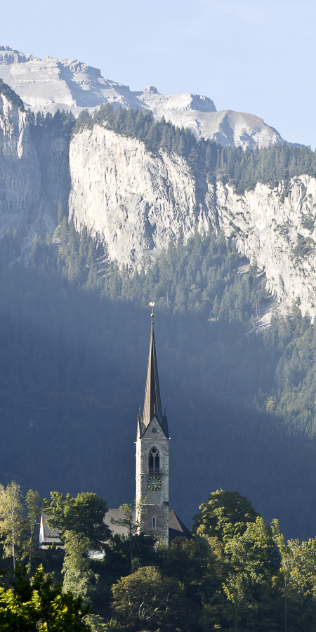 Aussicht auf Kirche Tamins