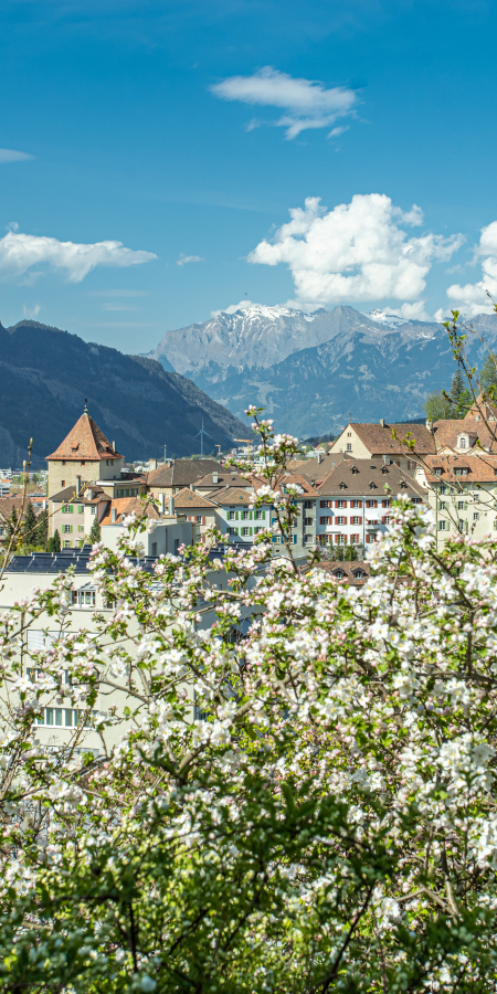 Chur vom Hilarienteich-YvonneBollhalder