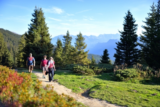 wandern_brambruesch_pradaschier_claudio-godenzi_6.jpg
