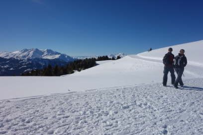 ausflgstipp_feldis_winter_michaelchrist_13.jpg