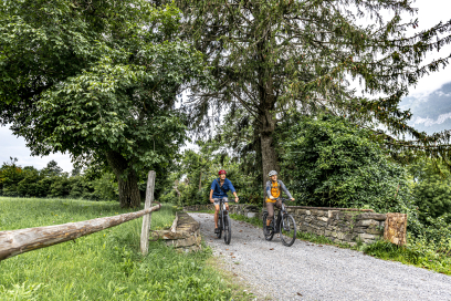 radfahren_rheintal_trimmiser-mittelweg_arminbearth_7