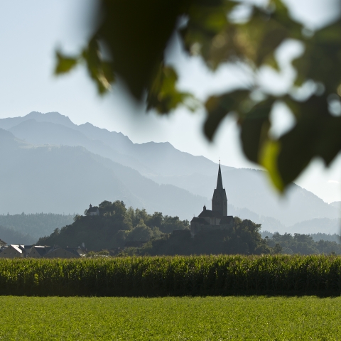 Domat / Ems im Churer Rheintal