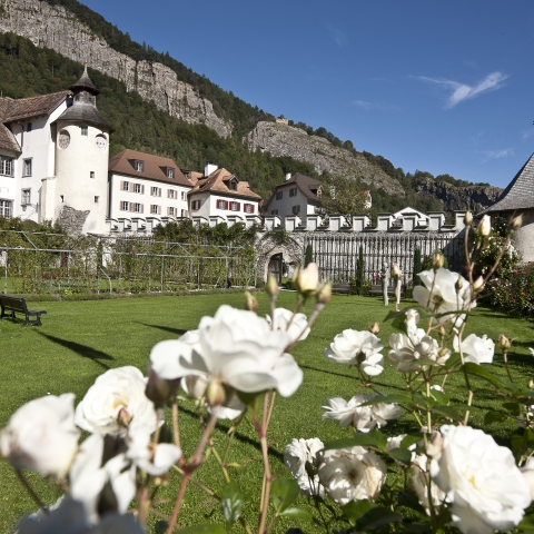 Schloss Haldenstein bei Chur