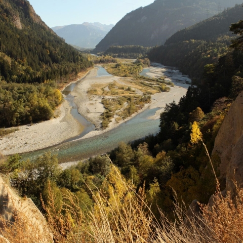 Rheinauen bei Rhäzüns im Churer Rheintal