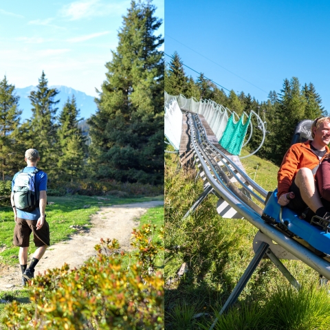 kombi-genusswanderung-pfiff.jpg