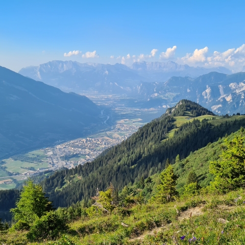 brambruesch_sommer_panorama_michaelchrist.jpg