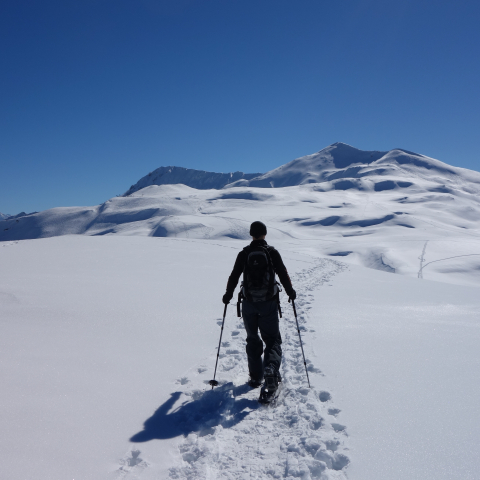 schneeschuh_brambruesch-pradaschier_michaelchrist_5.jpg