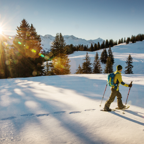 schneeschuh_dreibuendenstein_gullivertheis_4.jpg