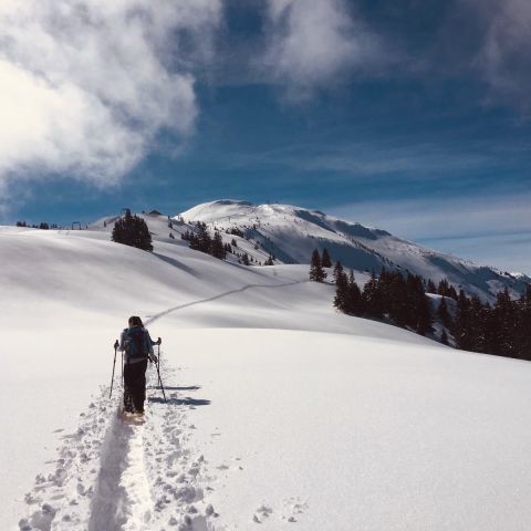schneeschuh_dreibuendenstein_karinbaecher_3.jpg