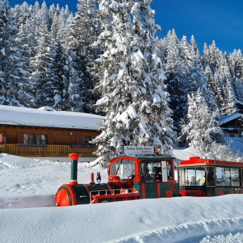 tschu-tschu-bahn_brambruesch_winter_michaelchrist.jpg