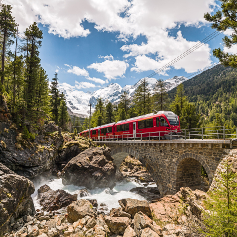 bahnreise_morteratsch_bex_rhb-eriksuesskind.jpg