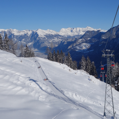 schlitteln_brambruesch_michaelchrist (6).JPG