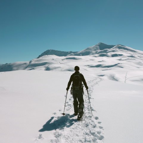 Schneeschuhläufe unterwegs am Dreibündenstein. Bild: Michael Christ Schneeschuhläufe unterwegs am Dreibündenstein