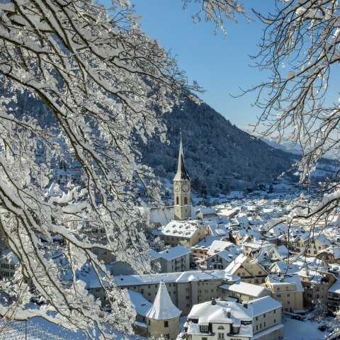 Winter-Chur_YvonneBollhalder