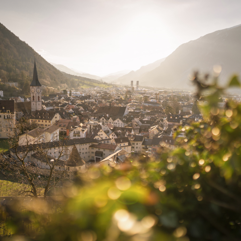 Panorama Stadt Chur Frühling