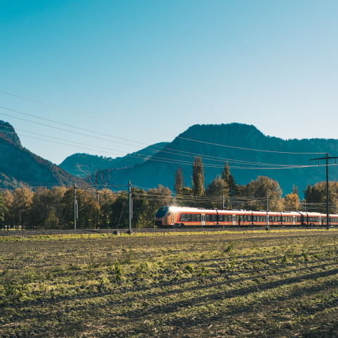 Zug der Schweizerischen Südostbahn