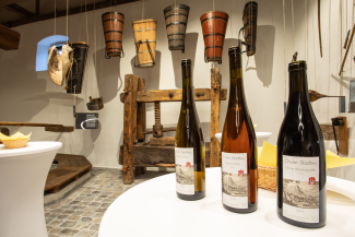 kultur_masans_torculum-weinbaumuseum_yvonnebollhalder_14.jpg