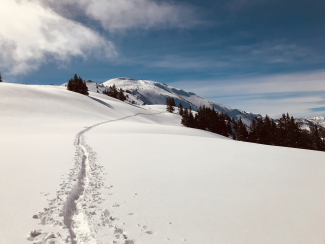 schneeschuh_dreibuendenstein_karinbaecher_1.jpg