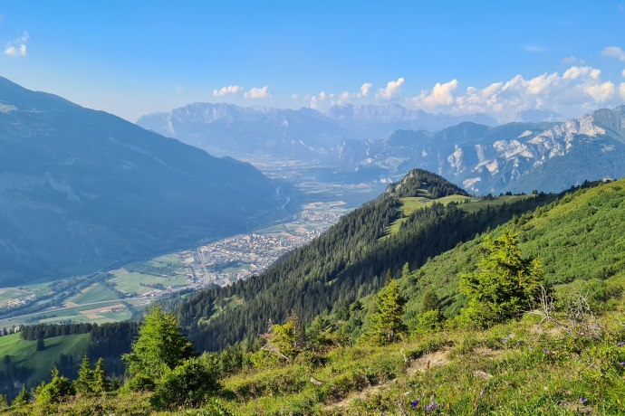 brambruesch_sommer_panorama_michaelchrist.jpg