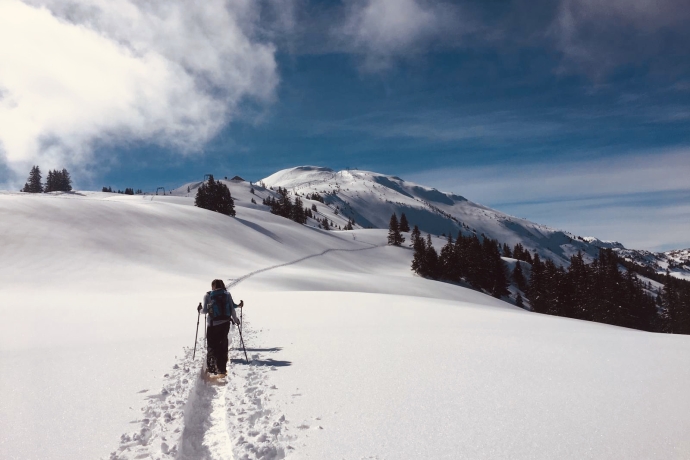 schneeschuh_dreibuendenstein_karinbaecher_3.jpg