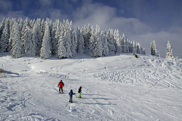 skifahren_brambruesch_familie_grf_2.jpg