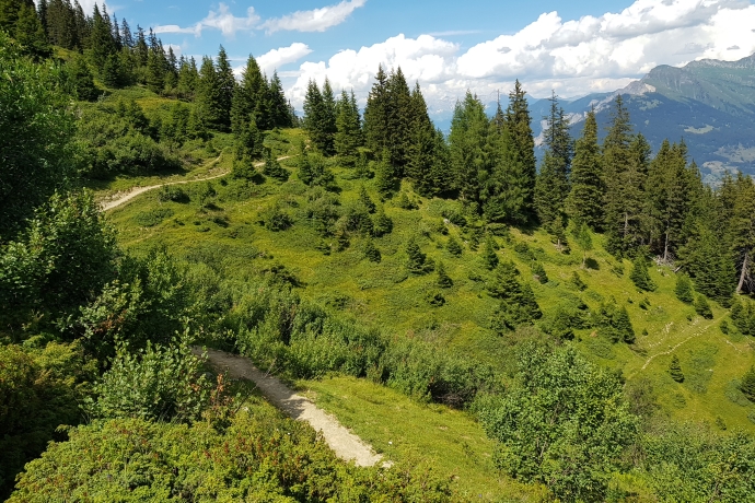 wandern_brambruesch_pradaschier_michaelchrist_2.jpg