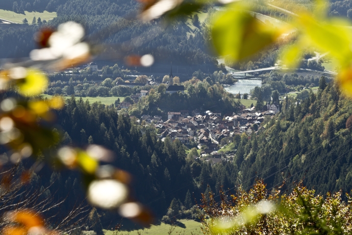 Aussicht auf die Gemeinde Tamins