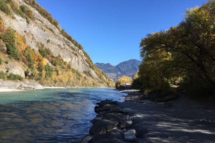 Rhein bei Chur