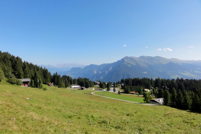Panorama Brambrüesch im Sommer