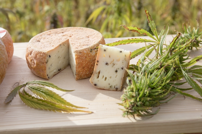 Alpenstadt Häppchen