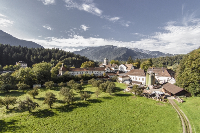 sehenswürdigkeit_tamins_schlossreichenau_weinbau-von-tscharner.jpg