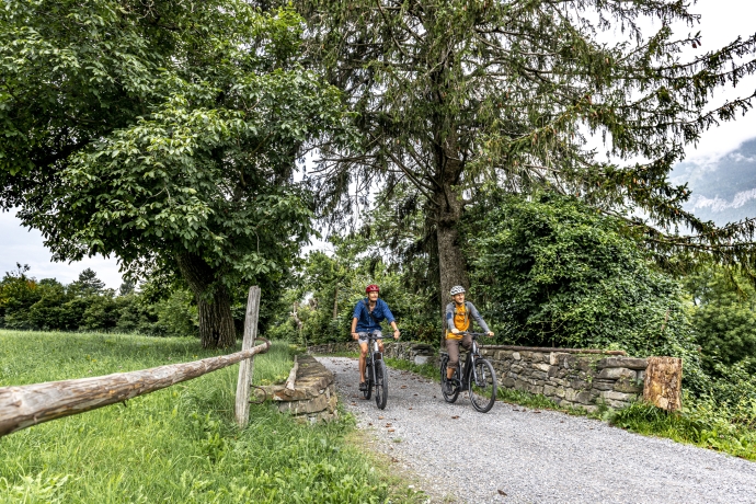 radfahren_rheintal_trimmiser-mittelweg_arminbearth_7